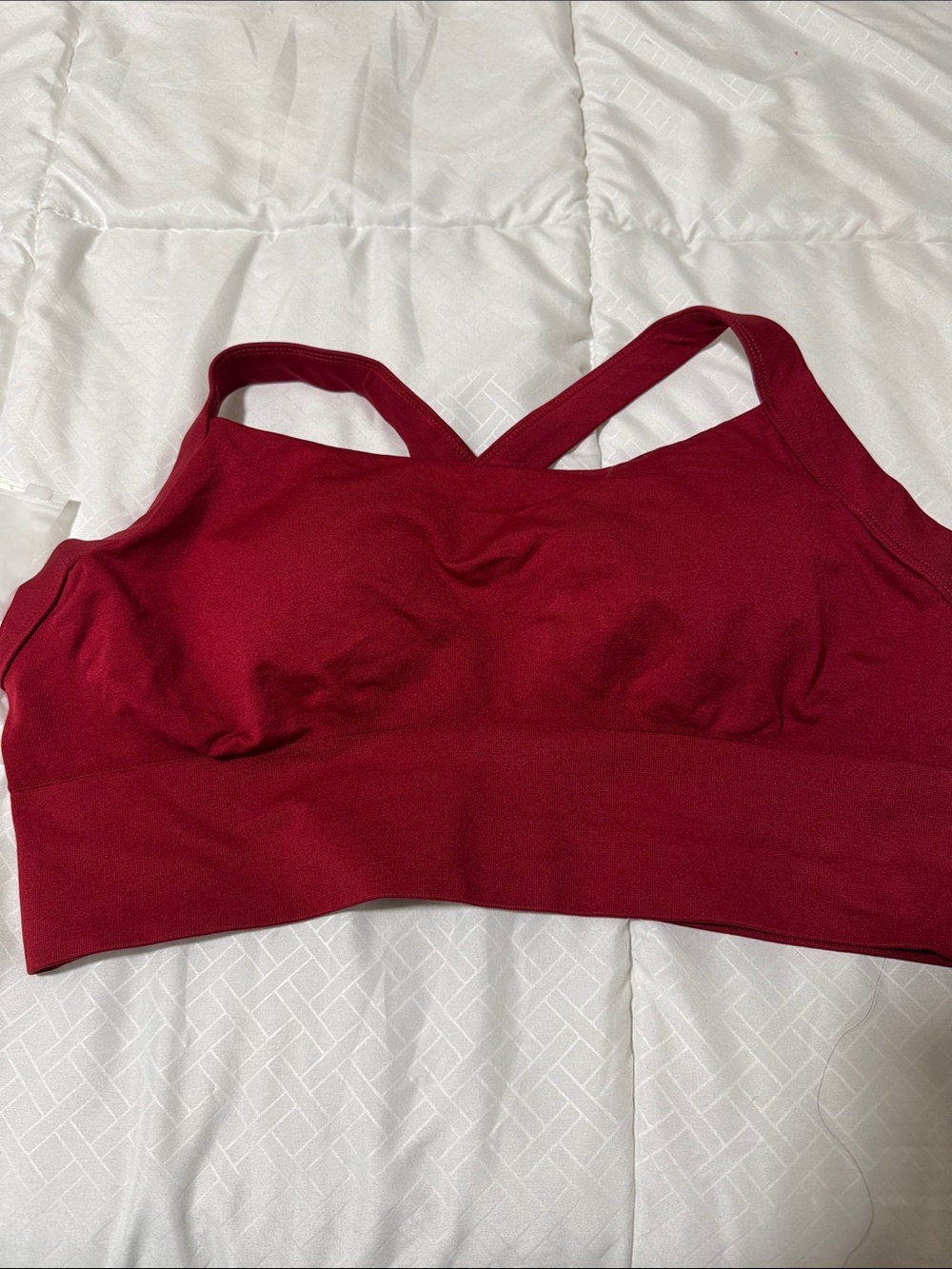 Seamless Crimson Sports Bra - Women Intimates & Sleepwear